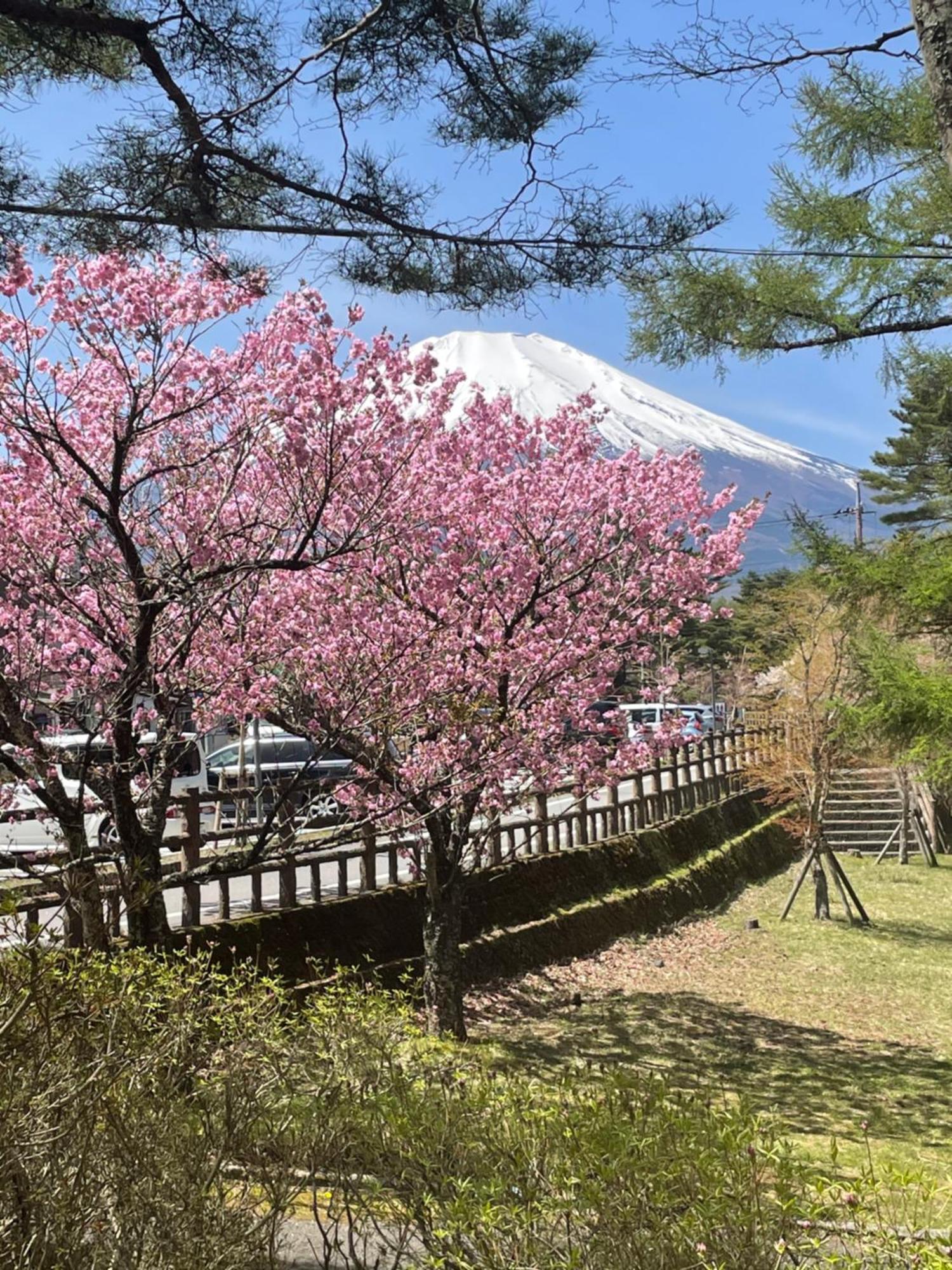 อพาร์ทเม้น 4月リニューアルopen! 全室エアコン完備! Deerview 山中湖 *